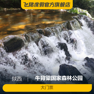 [牛背梁国家森林公园-大门票]牛背梁国家森林公园 大门票