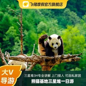 成都一日游 成都大熊猫繁育研究基地 广汉三星堆博物馆 接早服务