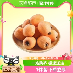 四川米易枇杷新鲜当季水果现摘现发1/3斤装整箱包邮