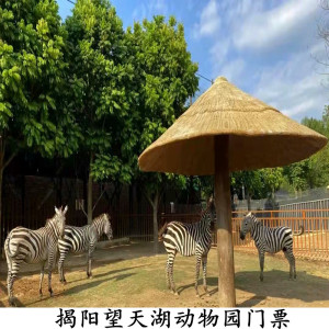 【揭阳望天湖】揭阳望天湖品牌,价格 - 阿里巴巴