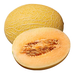 新疆黄金哈密瓜1个装单果2kg 新鲜水果顺丰包邮