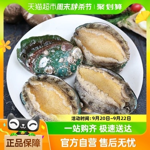 鲍鱼鲜活新鲜超大9-12头1斤海鲜水产特大加热即食鲍鱼捞汁饭批发