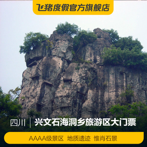 [兴文石海洞乡旅游区-大门票]兴文石海洞乡旅游区 大门票