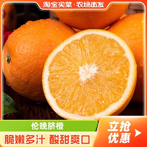 伦晚脐橙超值装当季新鲜橙子果冻甜橙水果新品套餐