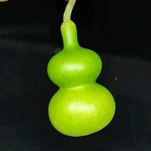 文玩葫芦  小八宝葫芦 葫芦摆件 葫芦工艺品 葫芦手把件 葫芦挂件