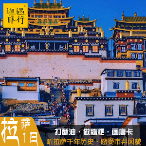 西藏拉萨旅游大昭寺八廓街文化体验一日游画唐卡藏餐网红墙甜茶