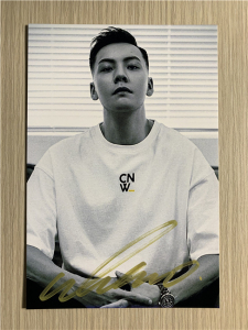 『冲冠』香港明星陈伟霆william chan亲笔签名照片24款热门定妆照