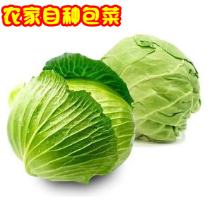 包心菜小甘蓝新鲜5斤包邮小包菜绿甘蓝菜农家卷心菜 圆包菜洋白菜
