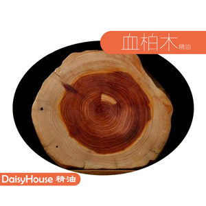 芳疗级天然daisyhouse血柏木精油 10ml 木质精油