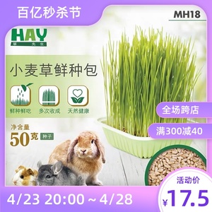 兔爸哥家/Mr.Hay小麦草鲜种包兔兔龙猫豚鼠小麦草种DIY种植 MH18