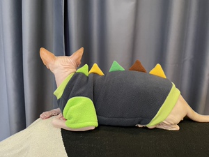 突突商店小猫咪衣服宠物保暖秋冬可爱冬天德文冬装小恐龙无毛猫