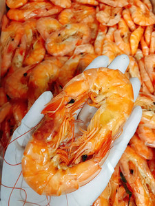 湛江特产海味干货虾干海虾干硬壳虾生晒淡晒8成干大虾干500克包邮