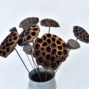 小莲蓬干花家居永生真花装饰摆件松果天然莲蓬插花客厅摆设中式禅