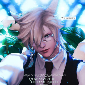 最终幻想14ff14捏脸数据脸型猫男魅猫族猫男sdfd数据捏脸