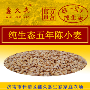 生态鑫久嘉五年陈小麦非浮麦可入药陈麦农家自种整颗粒小麦老麦子