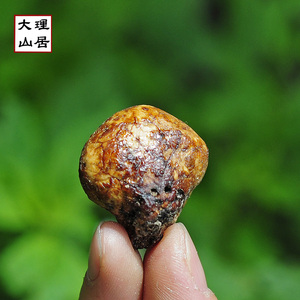 大理山居/云南老君山野生树荷包/须元果干货干果/包邮