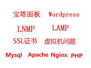 服务器web 搭建Linux+宝塔面板 LNMP LAMP 虚拟机问题 tomcat
