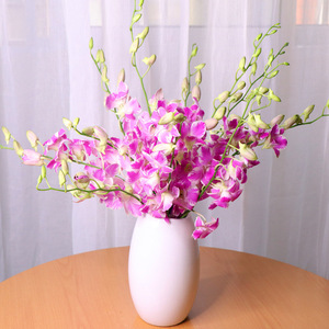 阅花 泰国洋兰千代兰白紫粉色洋兰鲜花速递兰花家庭插花花瓶插花