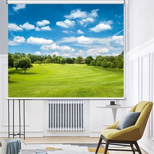 风景写实窗帘卷拉式客厅卷帘免打孔免安装浴室遮光柔纱帘窗户拉帘