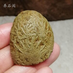 内蒙古阿拉善戈壁筋脉石 天然原石 gb1861a(不议价)