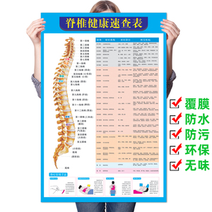 《脊椎健康速查表》人体脊柱疾病示意图全息医学健康病变挂图海报