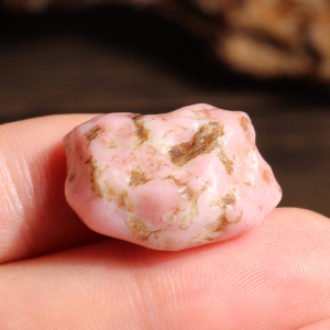 和田戈壁玉原石