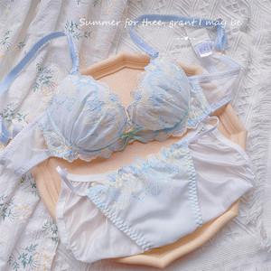 美匠圆盘胸内衣夏季刺绣低鸡心小底围零鸡心文胸d80c65d70c75d70e