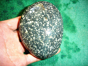 包邮天然新疆水冲鹅卵奇石《满天星》