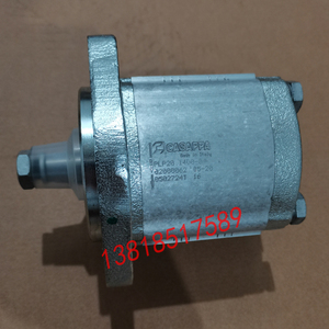 0200062 PLP20.14D0-8意大利CASAPPA凯斯帕高压齿轮泵油泵环卫