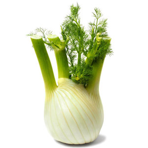 球茎茴香种子割茬小茴香籽结球荷兰进口四季播春夏秋冬季种籽盆栽