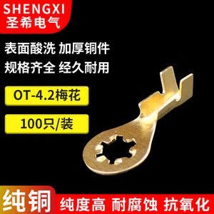 4.2梅花形端子 4.2孔式接线片接地线端子接地环锯齿形接线片100只