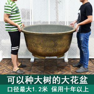 超大特大号圆形仿紫砂种树塑料花盆水培无孔荷花盆缸家用铁树庭院