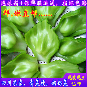 四川广安特产泡青菜奶奶菜青菜梗芥菜梗泡菜邦邦2斤/4斤新鲜蔬菜
