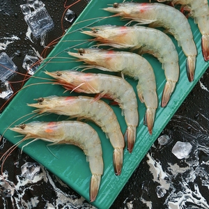 福建南日岛白丁虾鲜活冷冻特大南美白对虾新鲜海虾明虾顺丰包邮