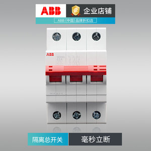 abb家用总电闸开关隔离开关断路空气开关2p4p63a短路断电漏电保护