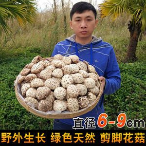 大花菇干货500g福建特产古田食用菌仿野生煲汤材料农家剪脚白香菇