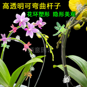 透明可弯曲造型塑料软杆子蝴蝶兰花剑花环创意塑形夹植物攀爬藤架