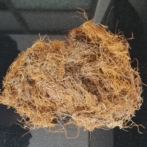 中药材 金腰带 500克/250克 别名 金丝带(重量自选)