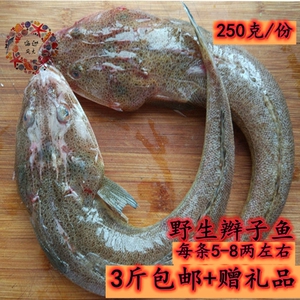 海鲜水产鲜活辫子鱼新鲜狗腿鱼拐子鱼海鱼连云港特产鱼包邮