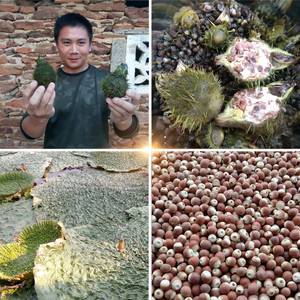 芡实干货500g新鲜天然农家自产欠实芡实米茨实碎野生鸡头米可打粉