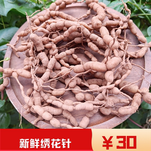 中药材新鲜老虎刺 虎刺根 小叶刺风 绣花针 白凤珠500克