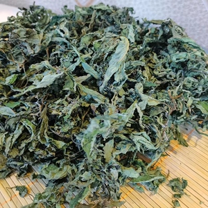 东北野生苏子叶 臭荆芥 香薷叶 延边朝鲜族狗酱 汤调料500g包邮