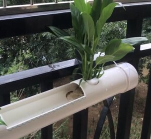 阳台养鱼种花管道鱼缸抖音养鱼水管茶几创意花盆管道式种菜种植架