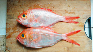 海产之物语深海冰鲜小金目鲷日料刺身食材红金眼鲷红皮刀加吉鱼