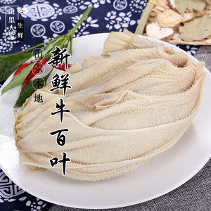 新鲜牛百叶 牛肚 毛肚火锅食材千层肚 农家散养黄牛当天现杀现发