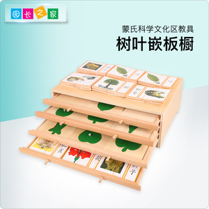 蒙氏树叶嵌板柜叶形嵌板橱科学文化教具蒙特蒙台梭利教具早教益智