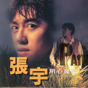 汽车cd碟片光盘光碟蝶片无损车载音乐张宇发烧经典新歌精选专辑