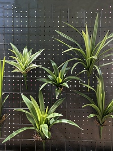 真软胶蕙兰叶手感吊兰叶绿色植物花槽墙面大型盆栽摆放绿植