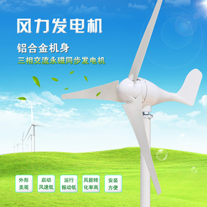厂家 100W300W小型风力发电机直立式 家用风光互补路灯12V24V包邮