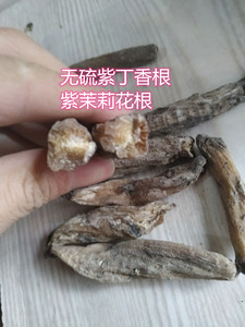 紫茉莉花根 紫丁香根 钻地老鼠 紫茉莉根粉入地老鼠500g34元包邮